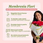 Plan Clásico