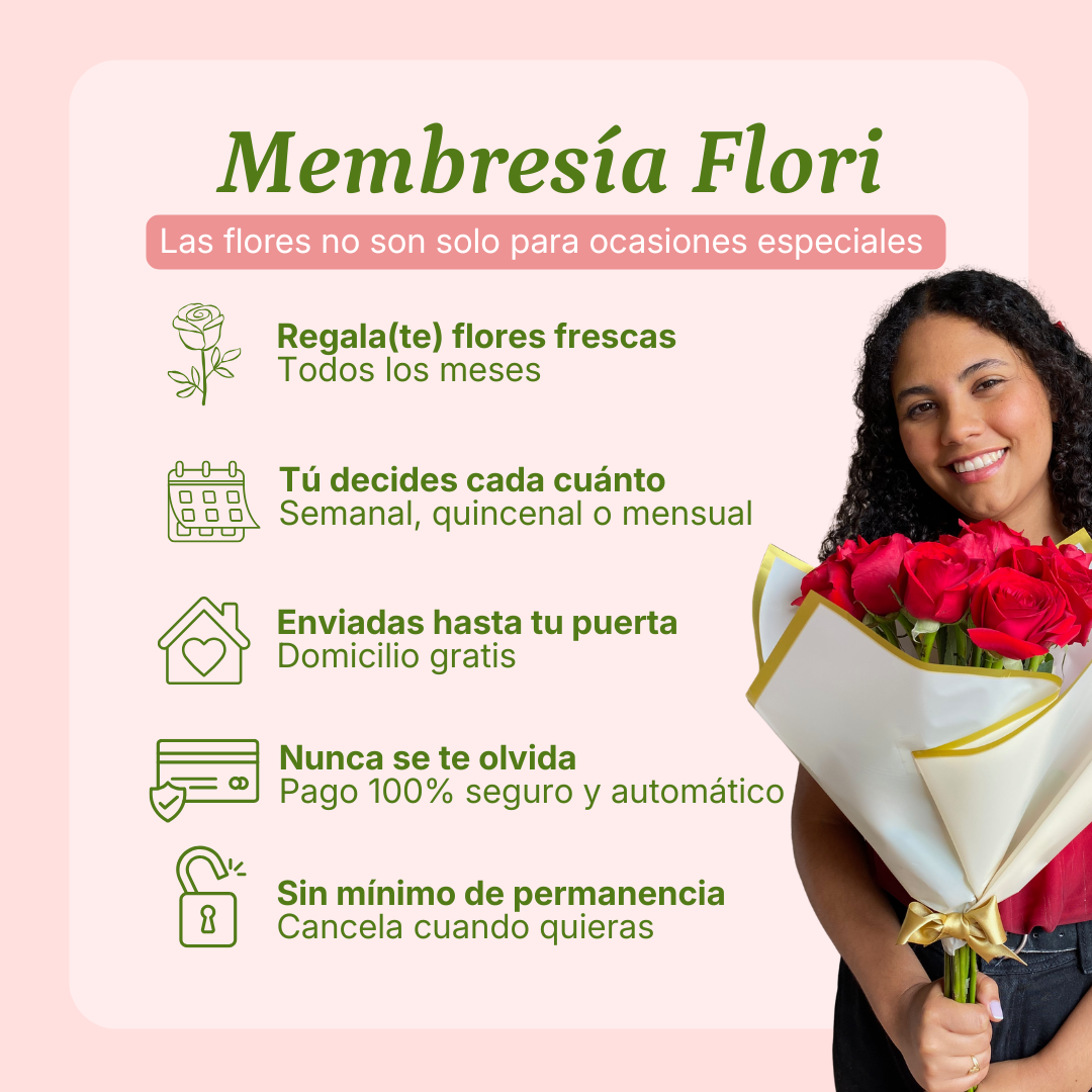 Plan Clásico