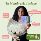 Plan Rosas