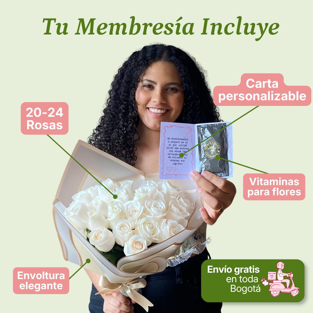 Plan Rosas