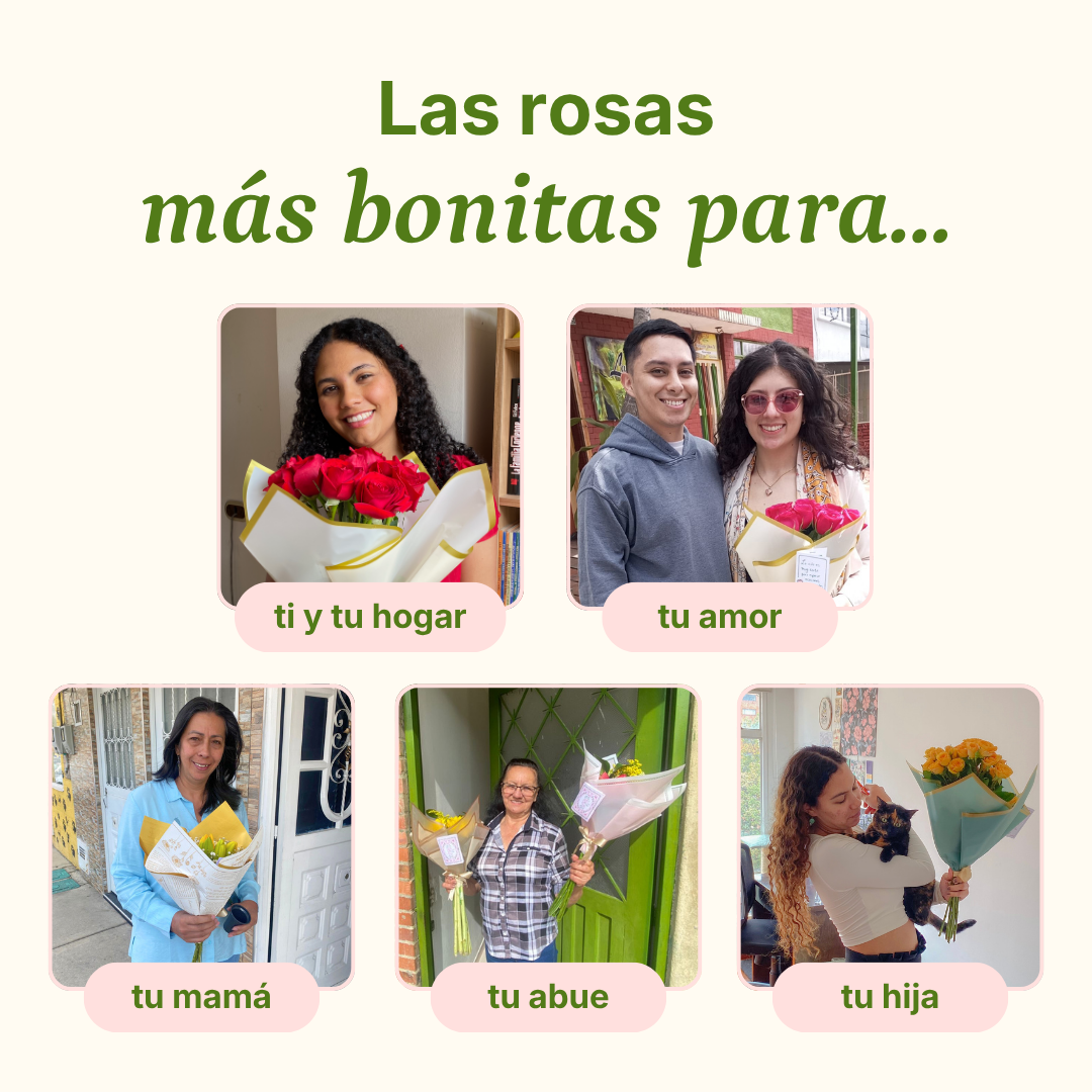 Plan Rosas