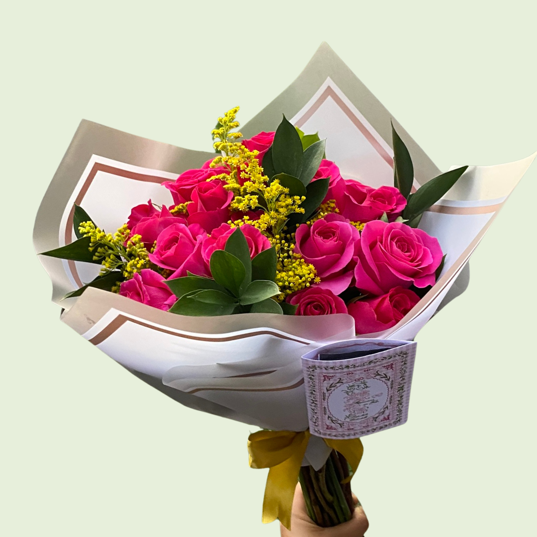 Plan Rosas